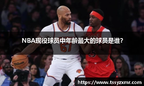 NBA现役球员中年龄最大的球员是谁？