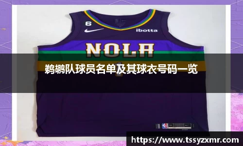 鹈鹕队球员名单及其球衣号码一览